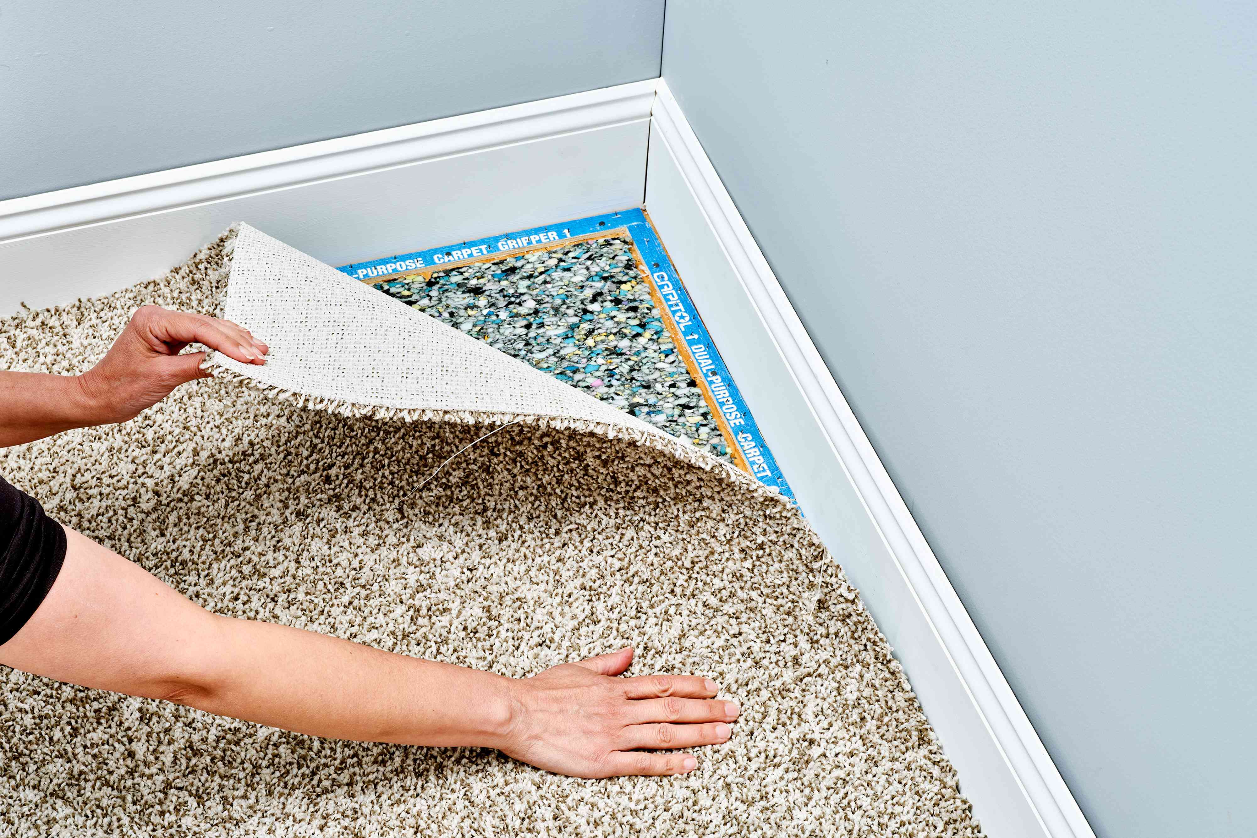 Carpet swatch